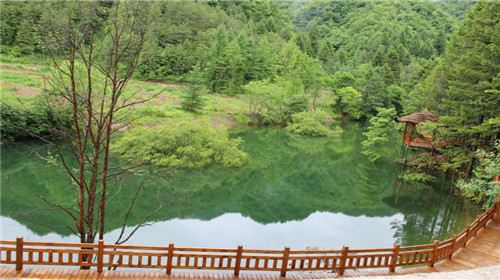 <em>神农架</em>风景<em>图片</em>,<em>神农架旅游</em>景点<em>照片</em>/<em>图片</em>/图库