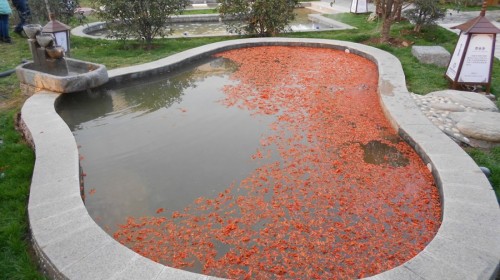 鄢陵花溪温泉