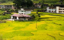 德化戴云山天气预报,历史气温,旅游指数,戴云山