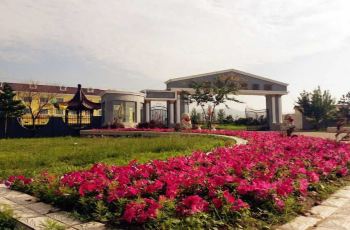 九龙温泉度假村,阳高九龙温泉度假村攻略/地址/图片