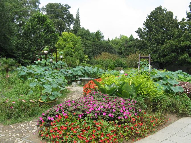 南京游·老两口舒心记 - 南京游记攻略