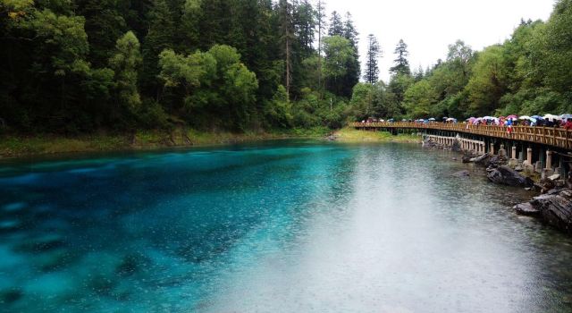 九寨诗情- 记2014夏末秋初《成都+九寨沟+黄龙