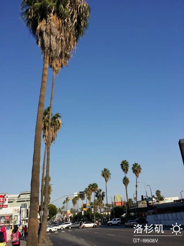 4位辣妈美国西海岸13天购物、美食、人文自由