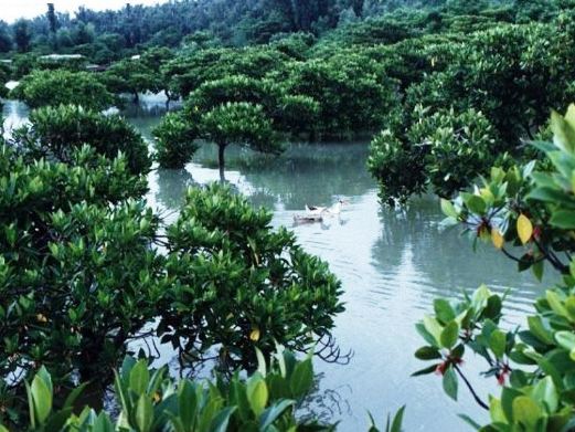 合浦风景图片,合浦旅游景点照片/图片/图库/相册