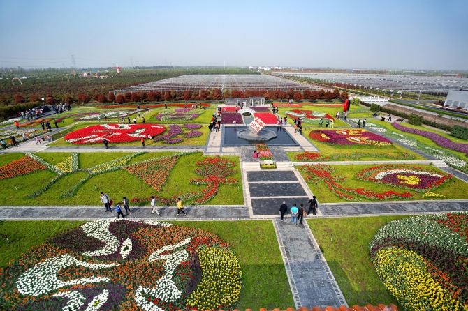 东西湖郁金香主题公园 百万葵花 九月邀您看葵