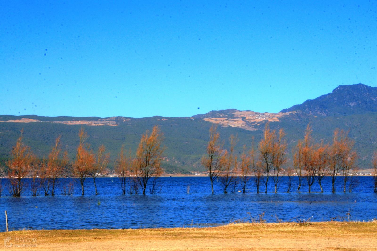 丽江2日1晚半自助游·拉市海骑马划船|宋城千