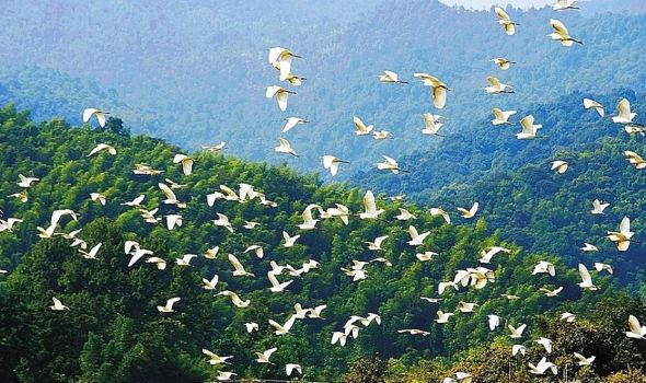 【始兴印象】始兴旅游怎么样_始兴哪里好玩_