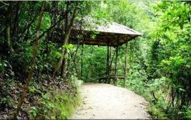 【清远天子山瀑布天气预报】清新清远天子山瀑