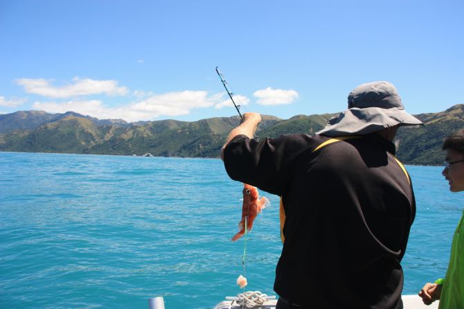 2014年春节,难忘的新西兰南岛自驾9日游,基督