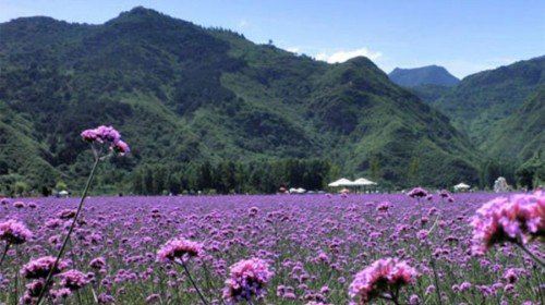 <em>密云</em>旅游<em>照片</em>,<em>密云</em>景点<em>图片</em>,图库,<em>相册</em>–携程社