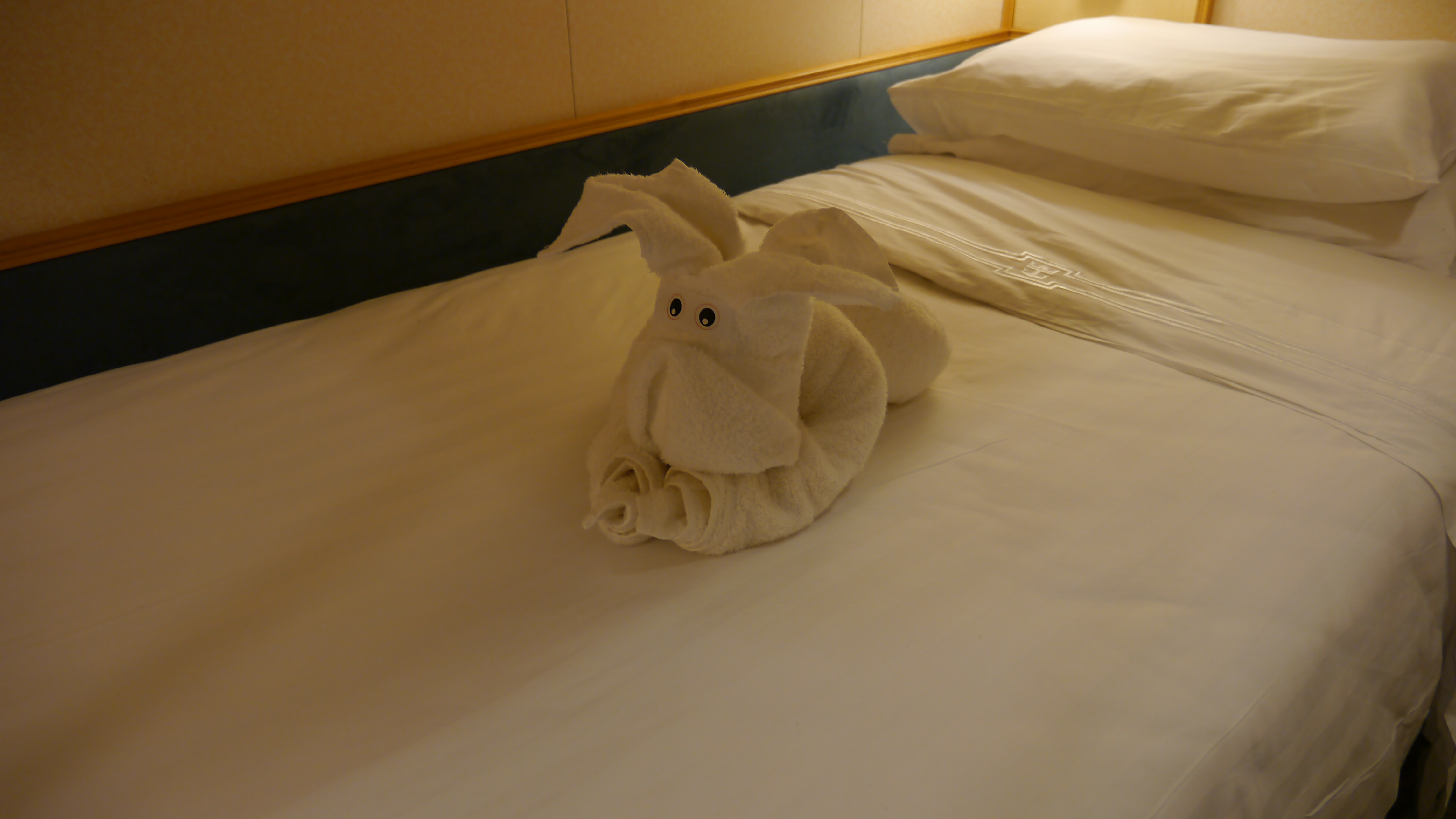 回到房间,床上毛巾折叠的小动物好可爱 房间