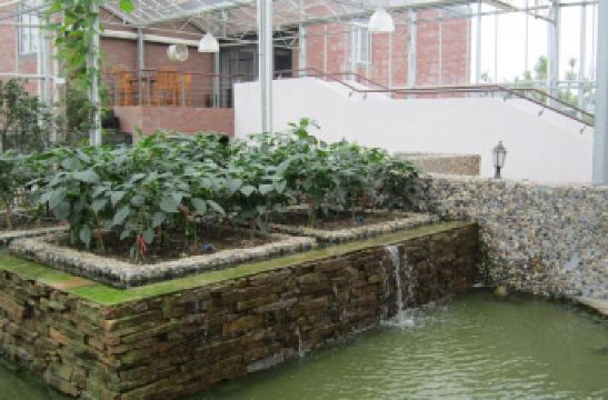 多利农庄_多利农庄 营业收入