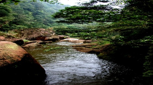 黄荆原始森林门票预订_黄荆原始森林门票价格_黄荆钱