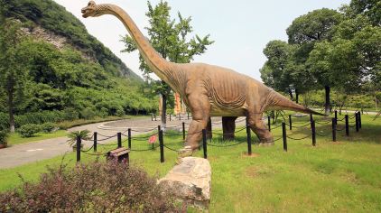 长兴金钉子远古世界景区穿越时空隧道感受生物演绎的神奇