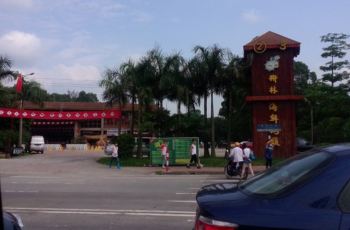 东郊椰林海鲜城_海鲜城个性门头_花都椰林海鲜城