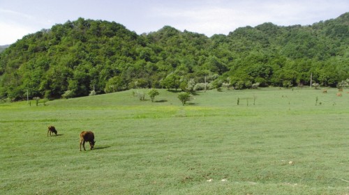 嘉陵江源头风景区