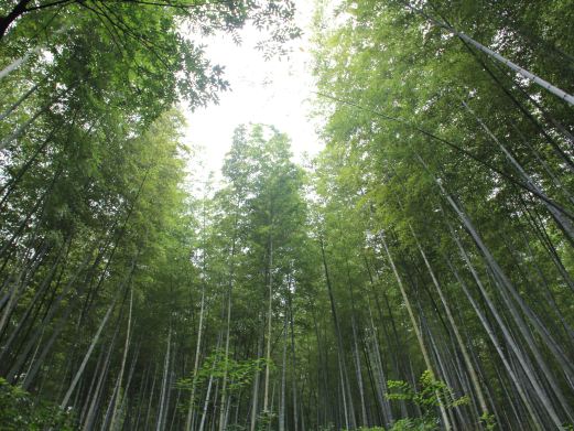 宜兴风景图片,宜兴旅游景点照片\/图片\/图库\/相册