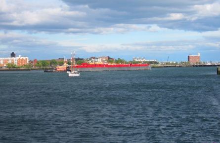 【加油站】【海外租车】美国东部赏花、观鲸游