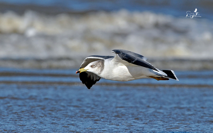 国庆烟台5日亲子自由行,烟台特色美食大全,美