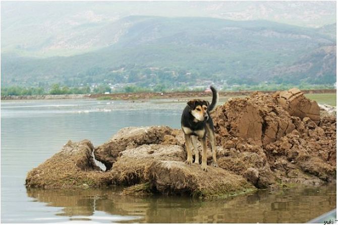 云南旅游攻略(游记)(2012年5月--6月新鲜出炉)