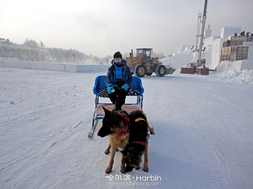 去坐了一圈雪撬,几分钟就就转了一圈.