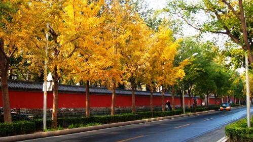 地坛门票多少钱_地坛门票价格_地坛门票团购