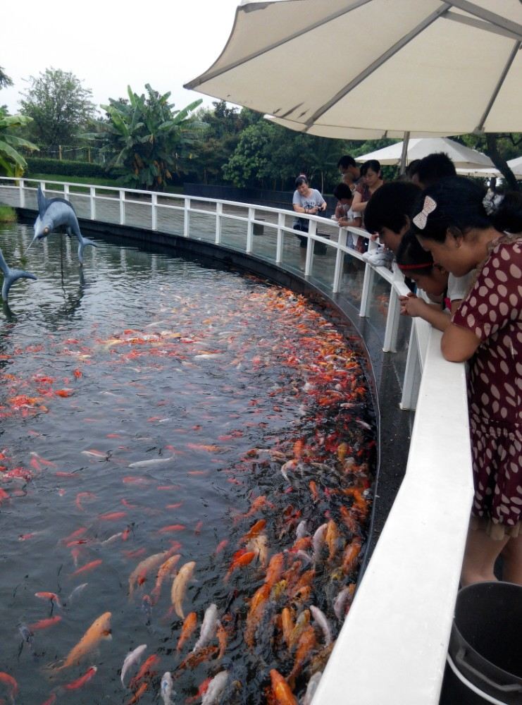 南昌动物园一天游玩