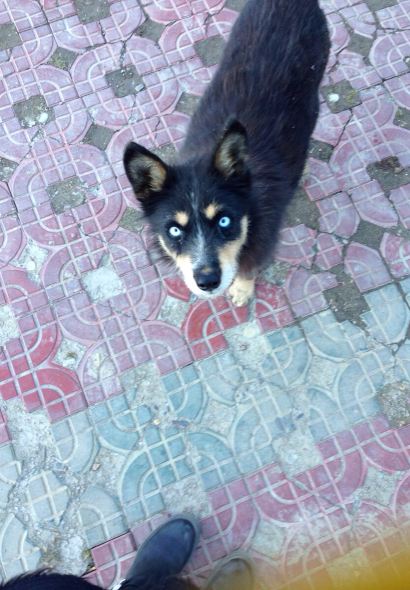 终于有了一个难得的长假期,一直害怕有高反的