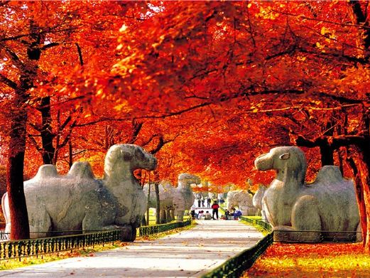 南京风景图片,南京旅游景点照片\/图片\/图库\/相册【携程攻略】