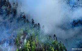 【鲁朗林海天气预报】林芝鲁朗林海天气预报一