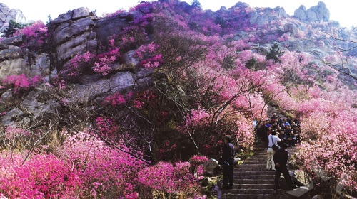 玩不啦景点门票 山东门票 青岛门票 大珠山风景区