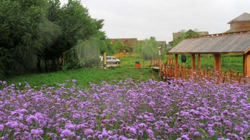 中卫旅游照片,中卫景点图片,图库,相册–携程社