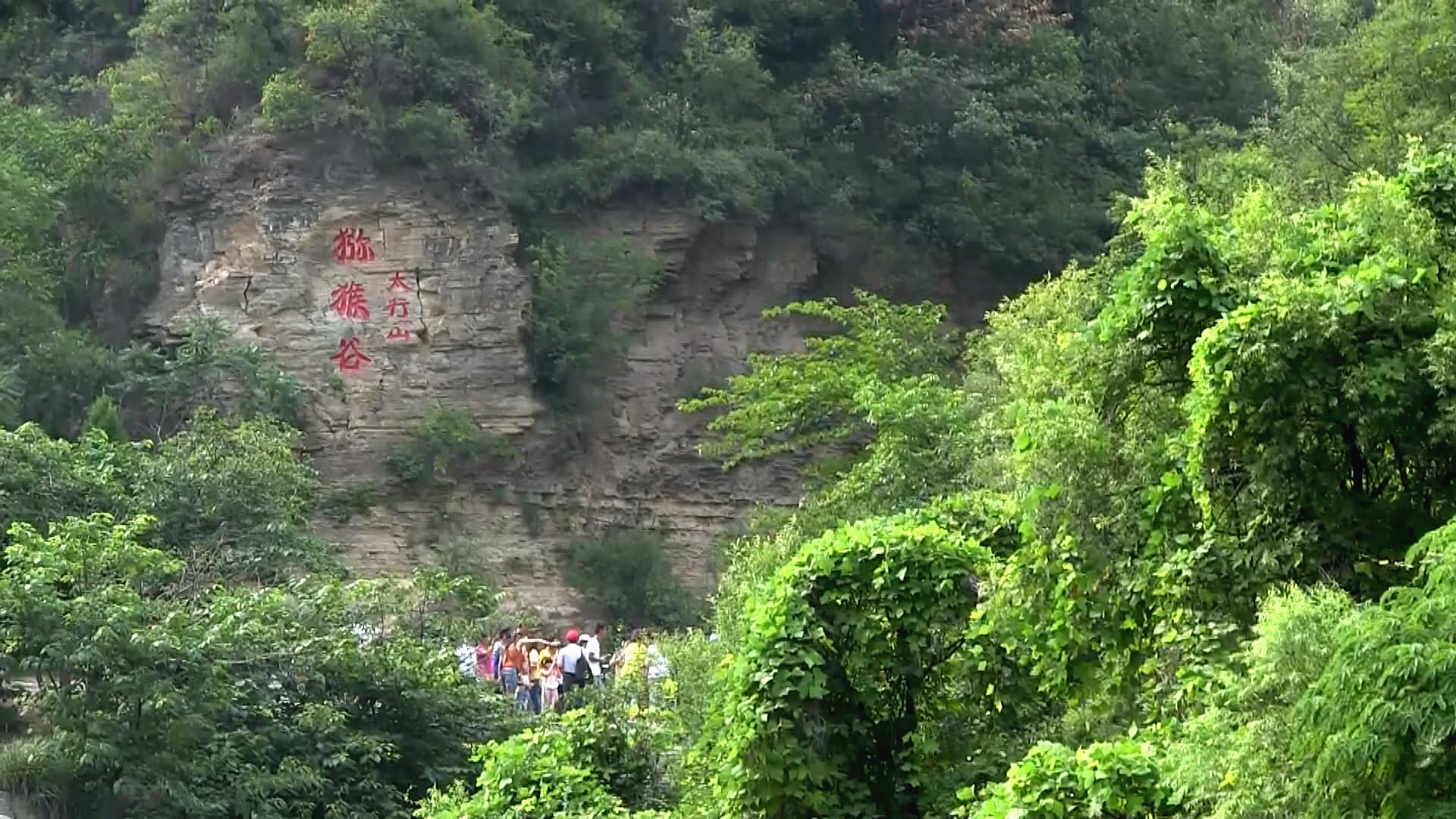 云台山为国家级猕猴自然保护区,有数量众多的野生猕猴群落在景区内