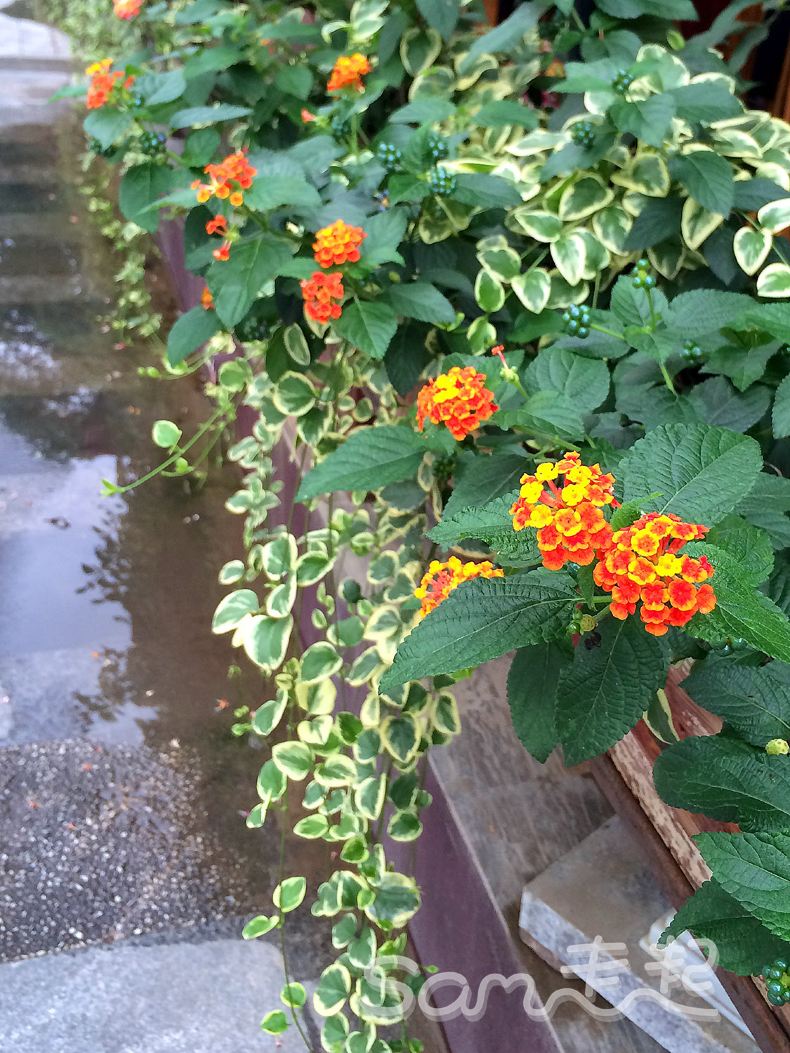 重新爱上海 》第二站 闵行金汇 - 上海游记攻略