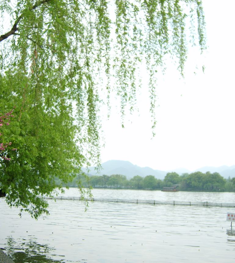 白堤原名白沙堤,它一端连着断桥,一端接着平湖秋月和孤山,中间是平坦的柏油路。道路两边种着整齐的杨柳和桃树,抬眼便是西湖美景,很适合悠闲漫步。白居易的名句最爱湖东行不足,绿杨荫里白沙堤说的就是这里。 游览季节与看点 通常会从北山路的断桥进入,一路走走逛逛,经过锦带桥后到达平湖秋月,由此上孤山可继续游览西泠印社、浙江省博物馆(孤山馆)等景点。游览白堤四季皆宜,若要欣赏白堤经典的一株杨柳一株桃的景色,则须在春天三四月前往,而且最好选择在对面的北山路上观看桃红柳绿的白堤全景,拍出的照片也是最美的。 游玩建议