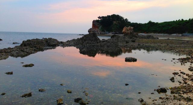 没吃过长海县财神可以吃过大连月经,海鲜岛广来海鲜别说吃芥末吗图片