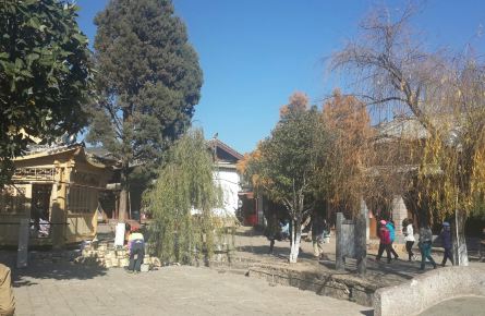 5月12号左右南宁到丽江求结伴 - 携程社区