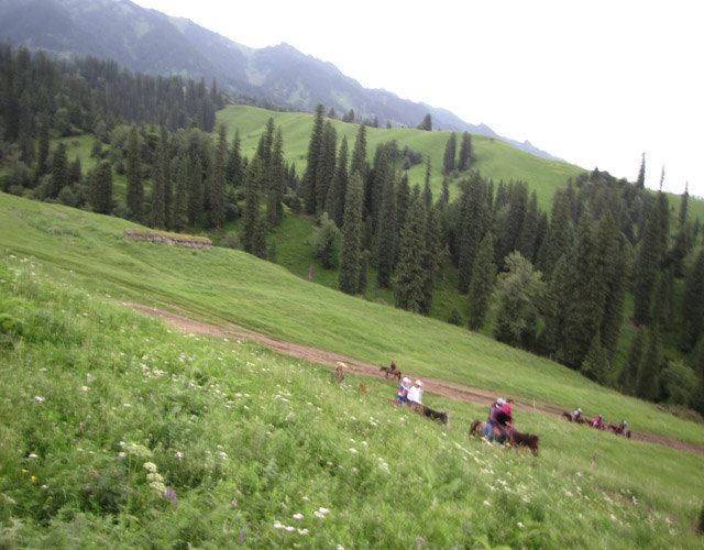 2010夏半自助新疆旅游攻略 - 新疆游记攻略