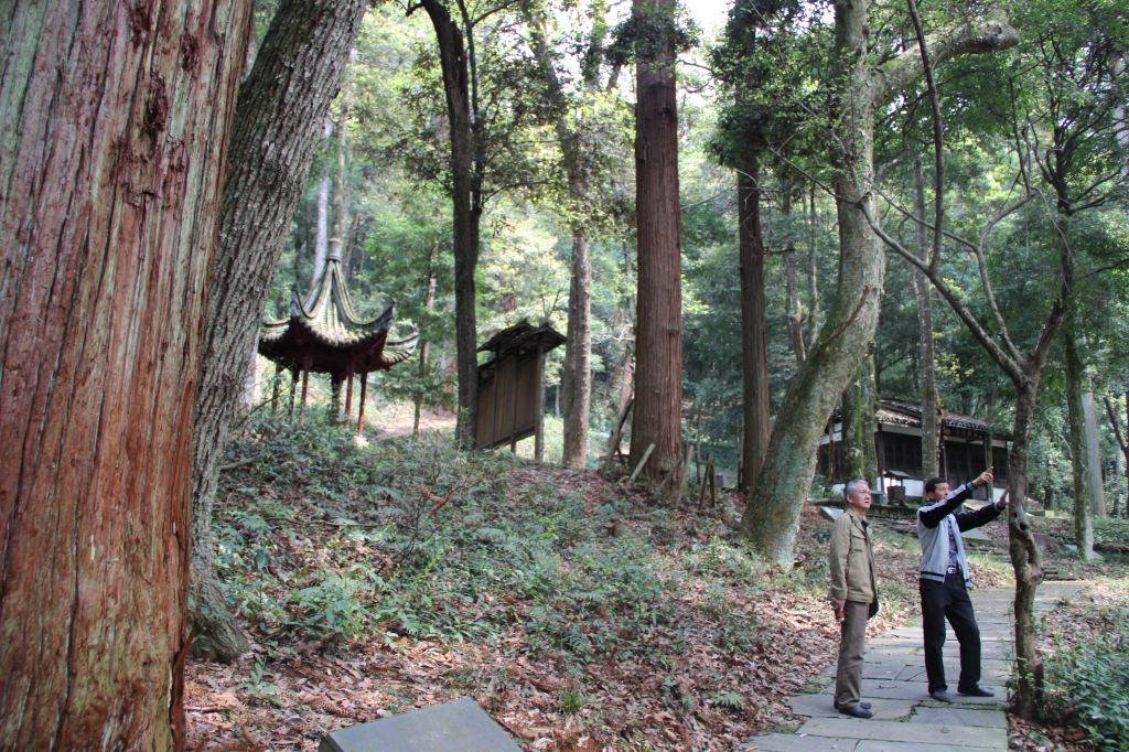 文公山 一《春曰里回"家"》(1) - 婺源游记攻略【携程