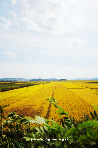 【孟夕的图】最美的秋天属于东北--自驾【长白