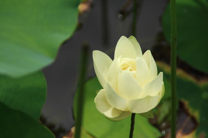 千岛湖自驾油导航导哪里