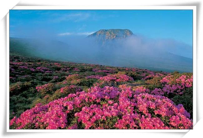 韩国济州岛赌场和澳门赌场有什么区别 - 韩国游