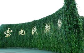 【携程天气预报】昆明云南民族村天气预报一周