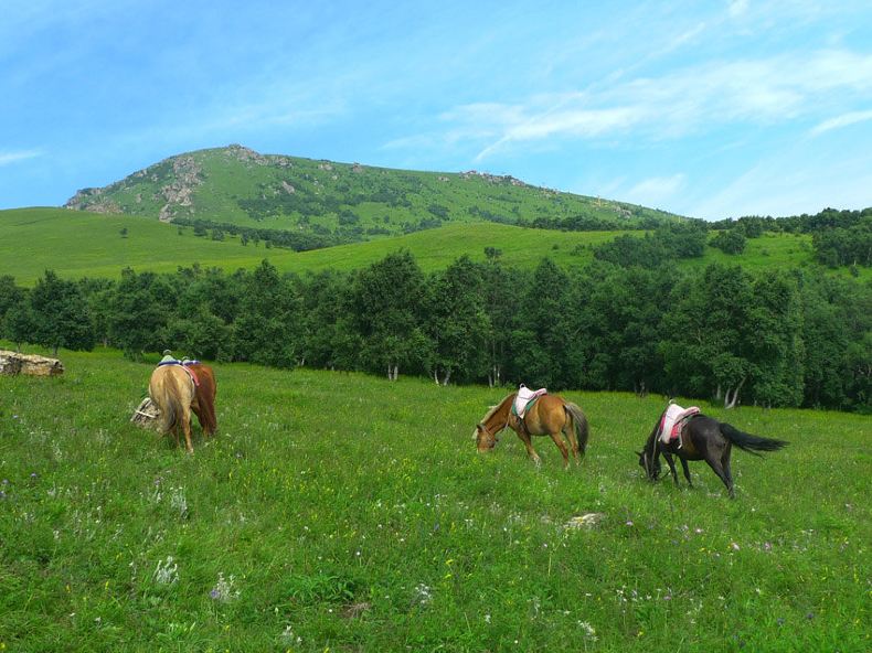 灵山自然风景区位于北京门头沟区的西北部