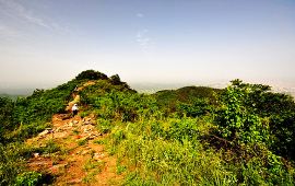 信阳震雷山天气预报,历史气温,旅游指数,震雷山