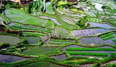 高坡苗乡-贵阳-燃大叔
