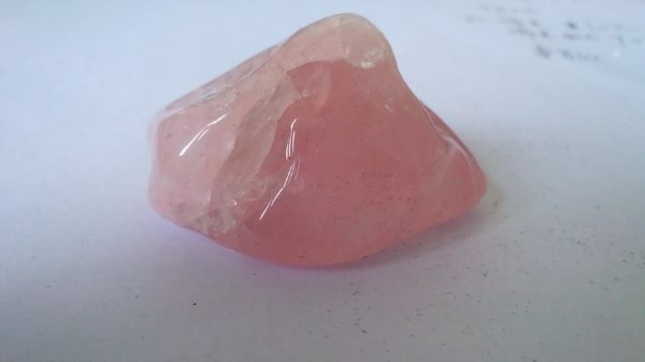 再见!上海自然博物馆.(惜别老馆缅怀青涩,期待