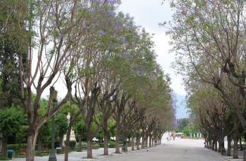 国家花园,雅典国家花园攻略\/地址\/图片\/门票