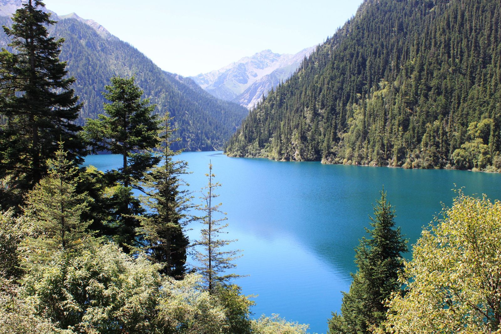 成都+乐山+峨眉山+九寨沟+黄龙6日跟团游(3钻