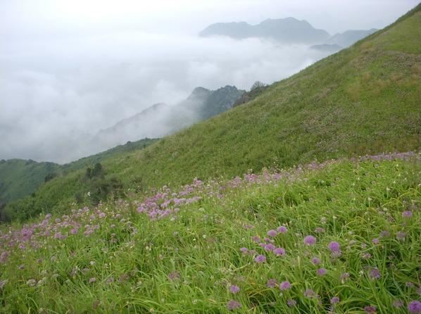 徒步贵州屋脊---韭菜坪